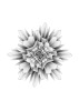Xscape/Flower 045
