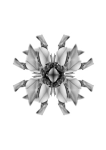 Xscape/Flower 006.3